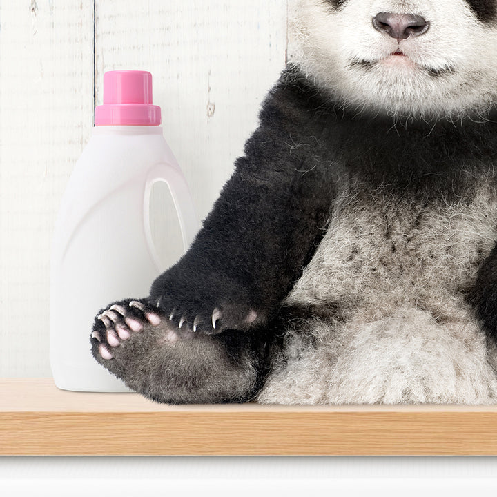 Baby Panda on Shelf Above Washing Machine - Farmhouse Wall