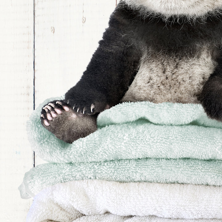 Baby Panda on Folded Towels - Farmhouse Wall