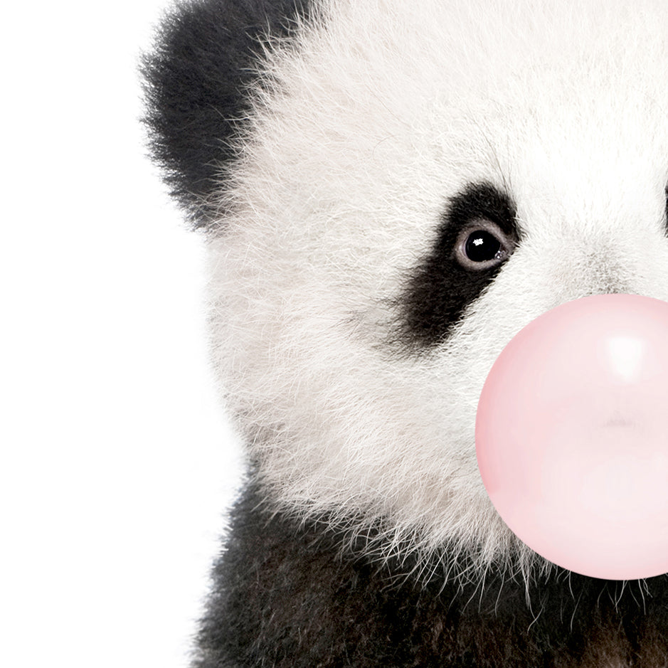 Baby Panda Blowing Pink Bubble Gum