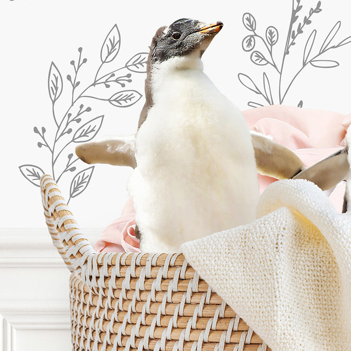 Pengins in Laundry Basket - Assorted Wallpapers