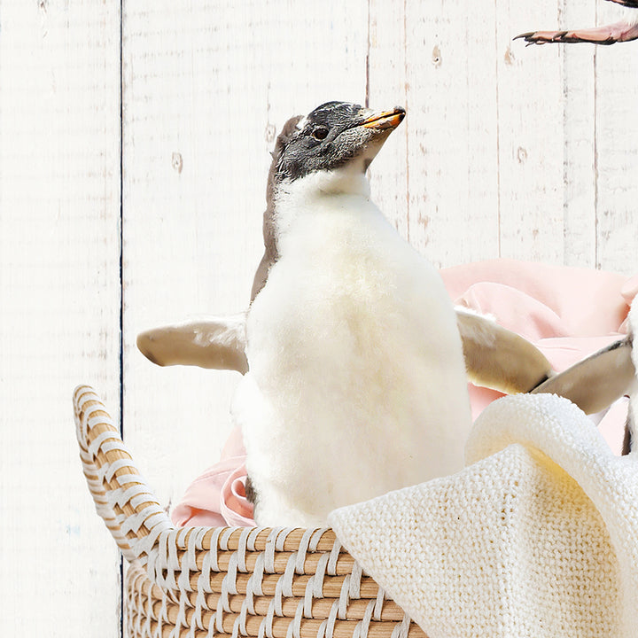 Penguins in Laundry Basket - Farmhouse Wall