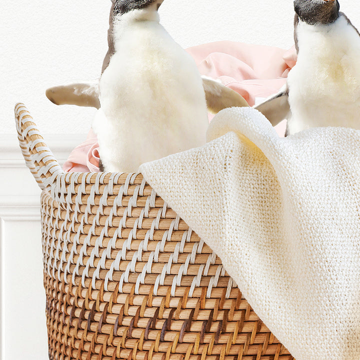 Penguins in Laundry Basket - Simple White Wall