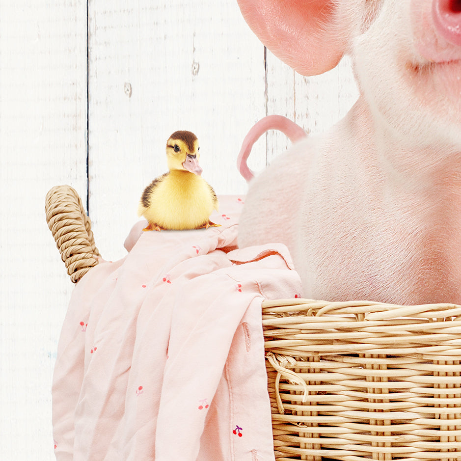 Baby Piglet and Friends in Laundry Basket - Farmhouse Wall