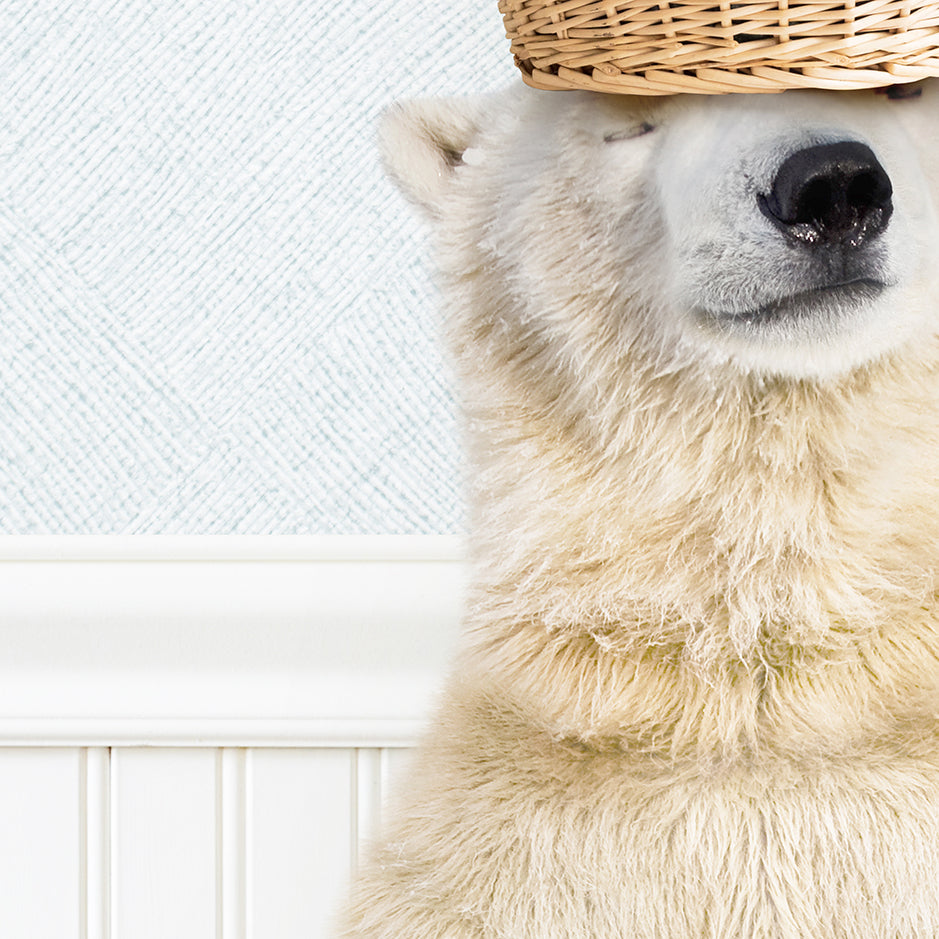 Polar Bear Balancing Laundry Basket - Cottage Blue Wall
