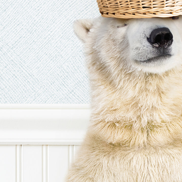 Polar Bear Balancing Laundry Basket - Cottage Blue Wall