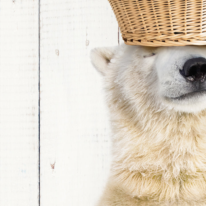 Polar Bear Balancing Laundry Basket - Farmhouse Wall