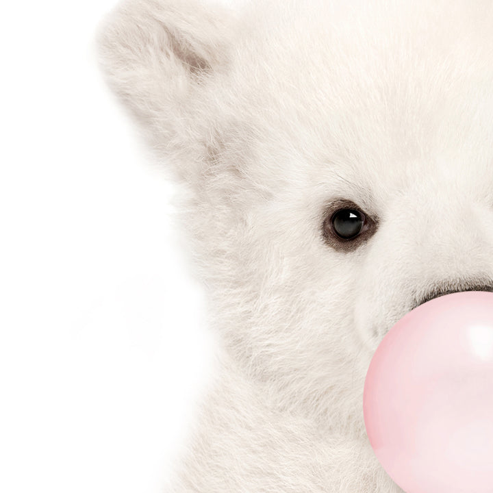 Baby Polar Bear Cub Blowing Pink Bubble Gum