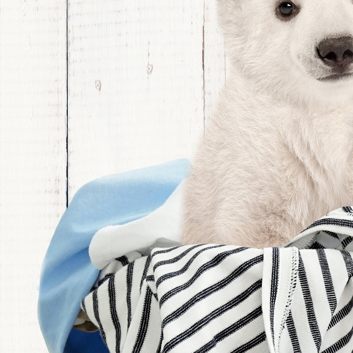 Polar Bear Cub in Laundry Basket - Farmhouse Wall