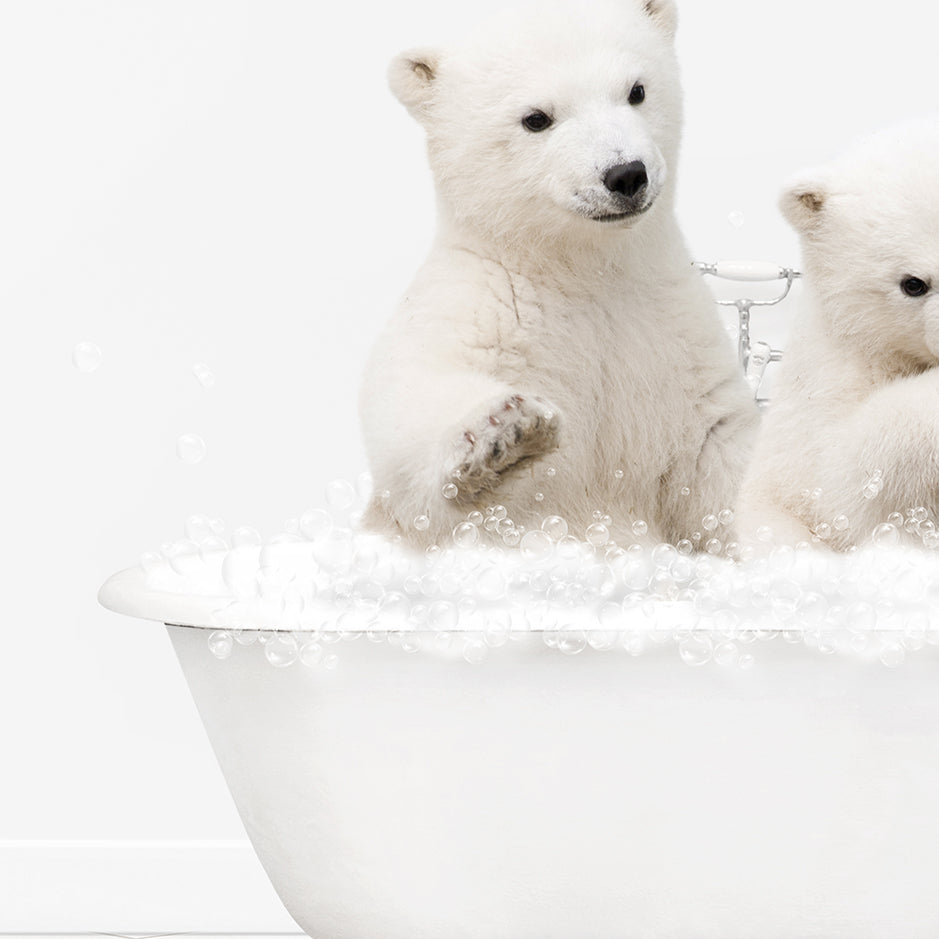 Polar Bear Cubs in Neutral Bath