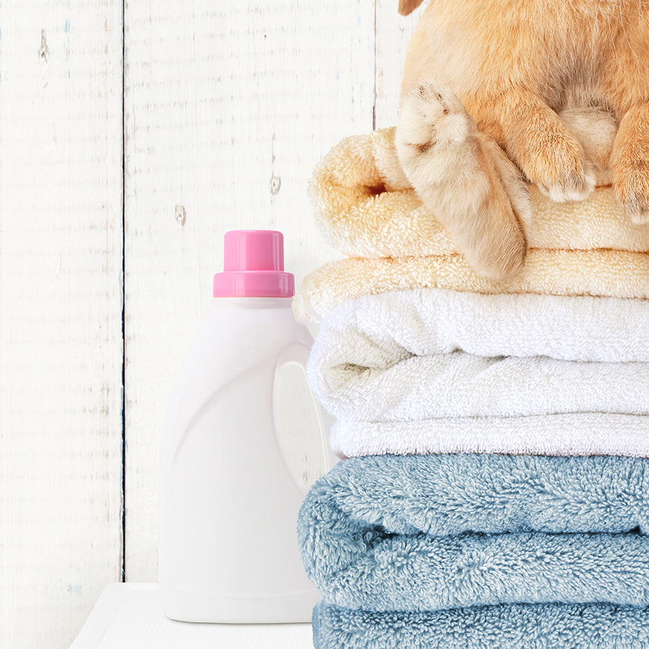 Pudgy Bunny on Folded Towels on Washing Machine - Farmhouse Wall