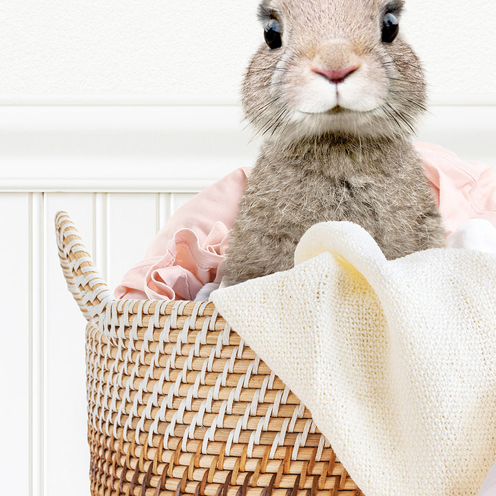 Rabbit - Did Somebunny Say Laundry?