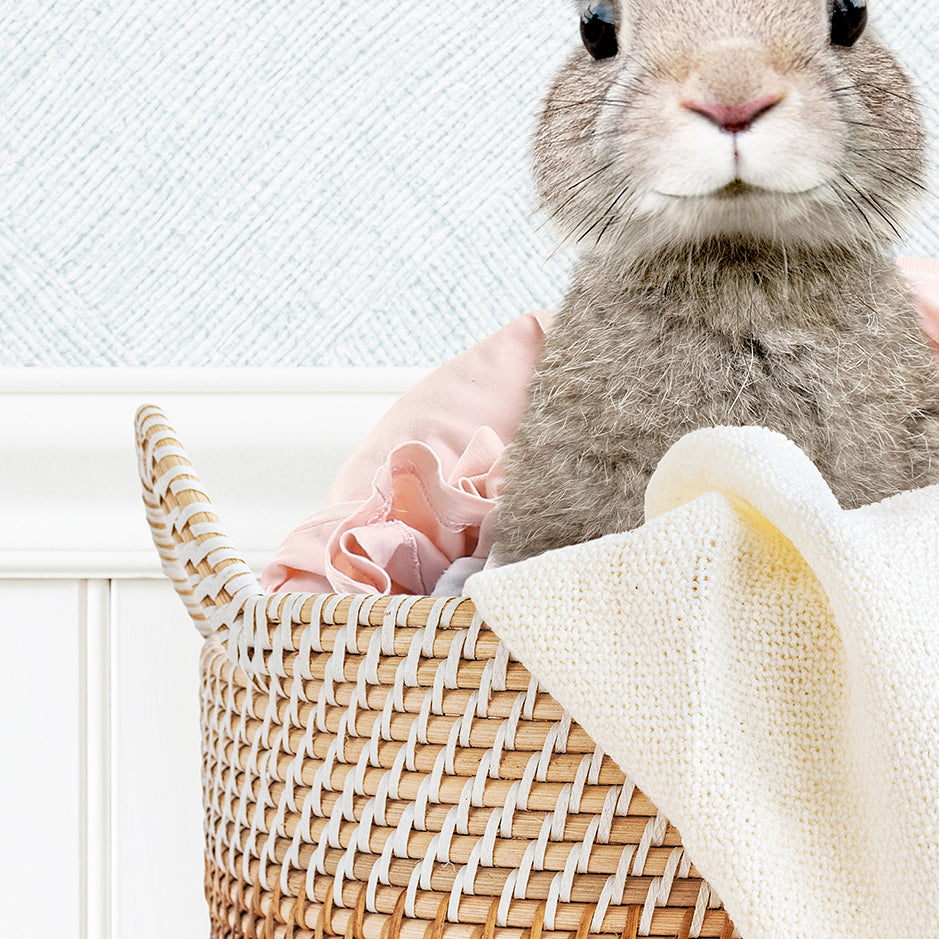 Baby Rabbit in Laundry Basket - Cottage Blue Wall