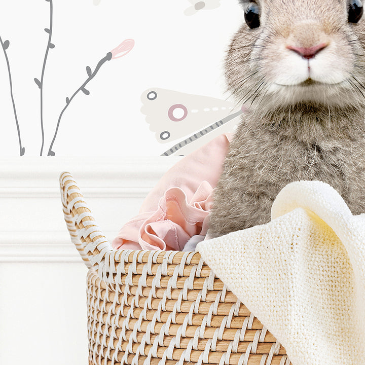 Baby Rabbit in Laundry Basket - Assorted Wallpapers