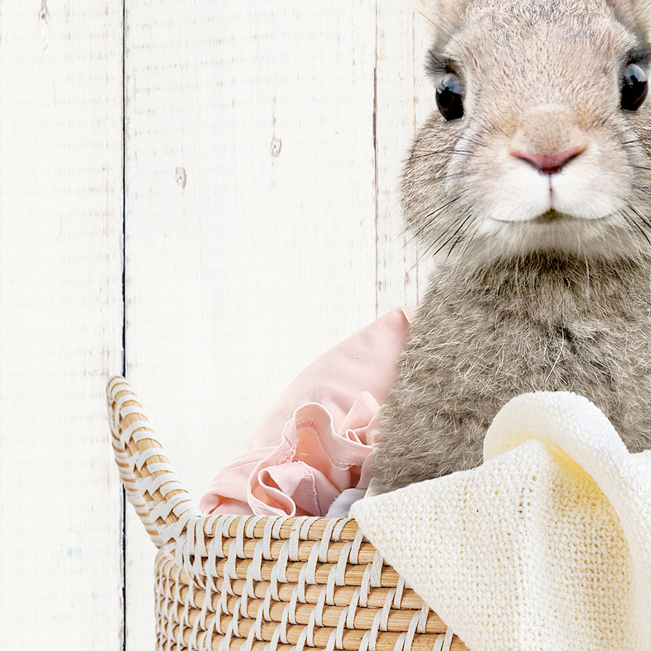 Baby Rabbit in Laundry Basket - Farmhouse Wall