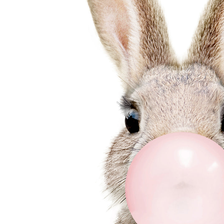 Baby Rabbit Blowing Pink Bubble Gum