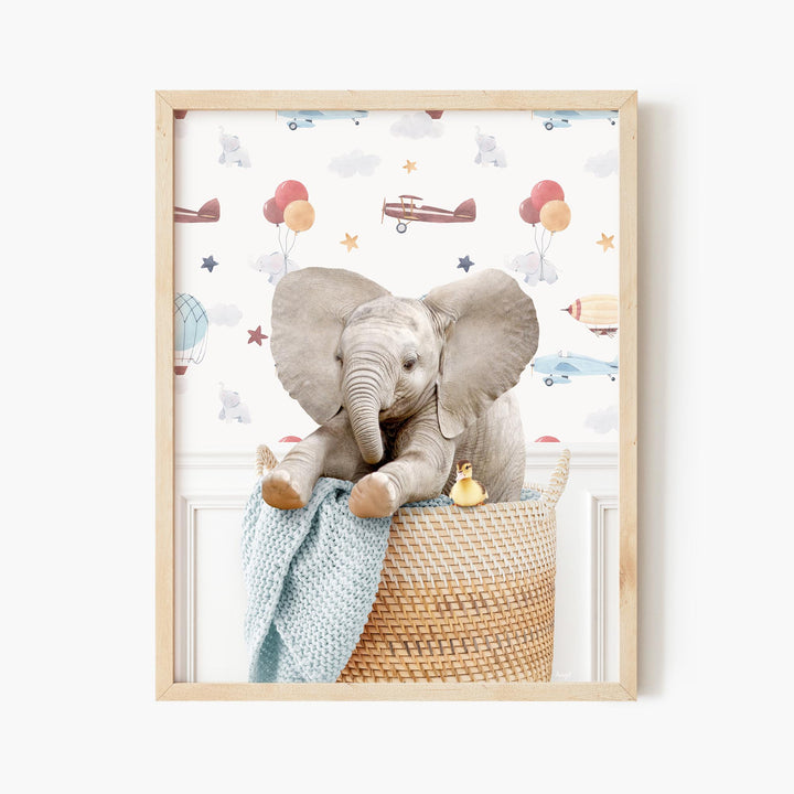 Baby Elephant in Laundry Basket - Assorted Wallpapers