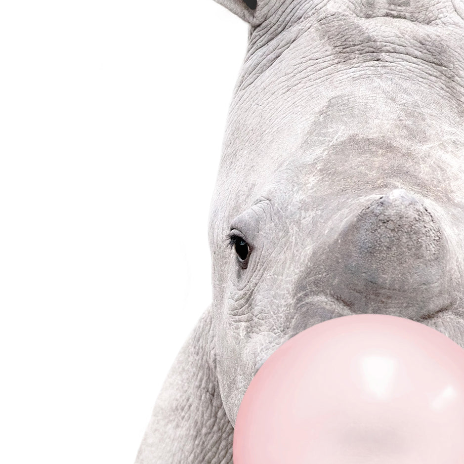 Baby Rhino Blowing Pink Bubble Gum