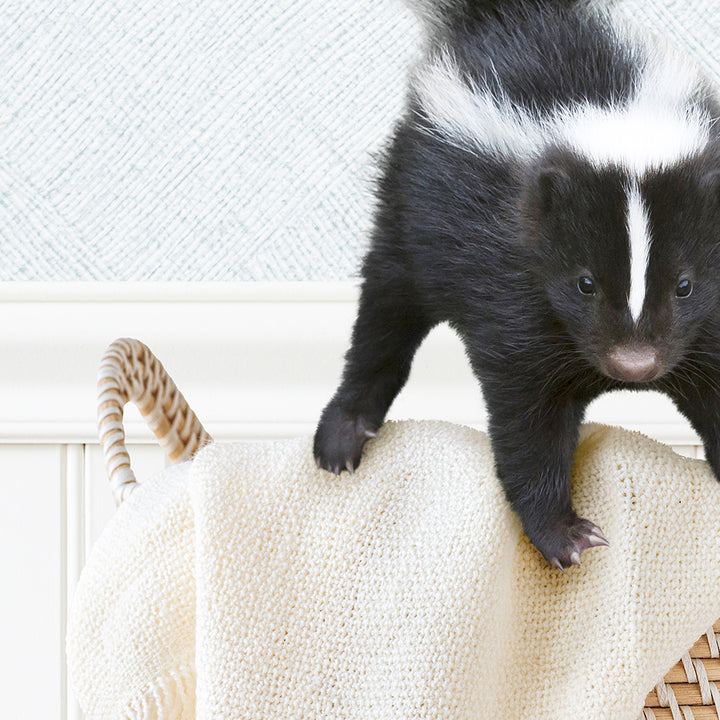 Skunk in Laundry Basket - Cottage Blue Wall
