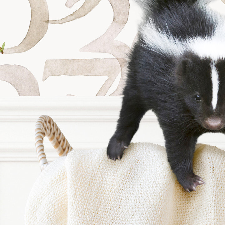 Baby Skunk in Laundry Basket - Assorted Wallpapers