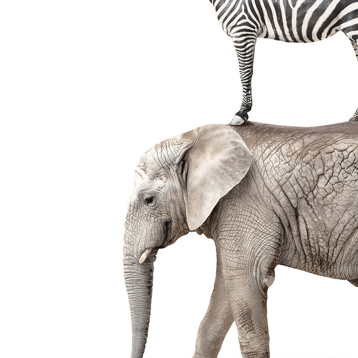 Stacked Safari Animals - Whimsy Animal