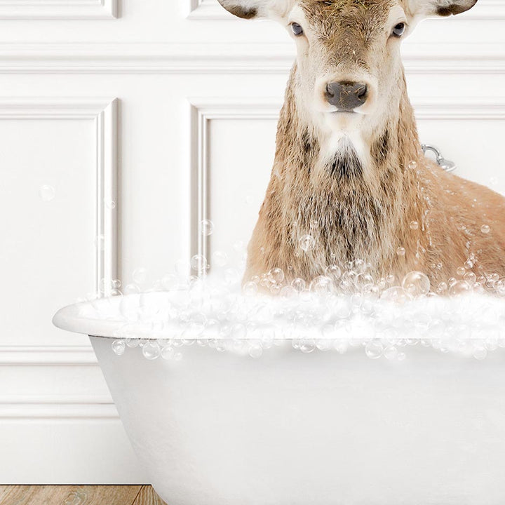 Male Deer in Traditional Panel Bath Style