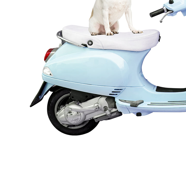 Cool Chihuahua on Italian Vespa - Whimsy Animal