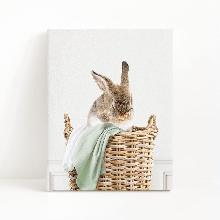 Bashful Bunny in Laundry Basket - Simple White Wall