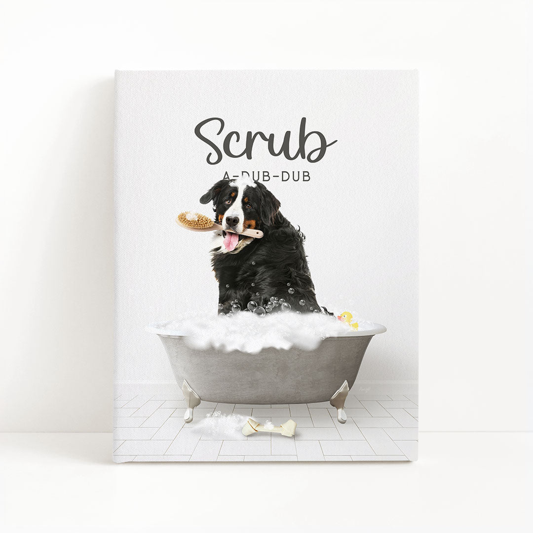 Bernese Mountain Dog Scrub A-Dub-Dub in Simple Gray Bath