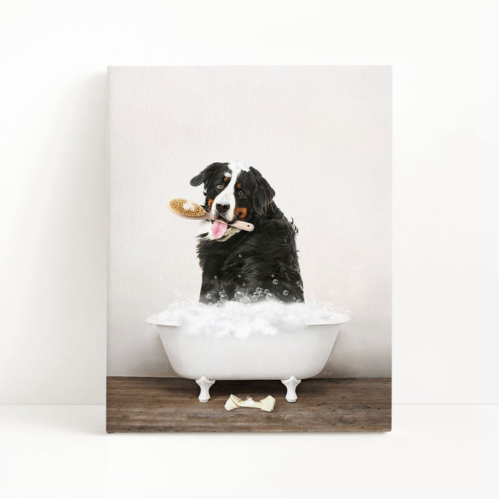 Bernese Mountain Dog in Rustic Bath Style Lots of Foamy Bubbles