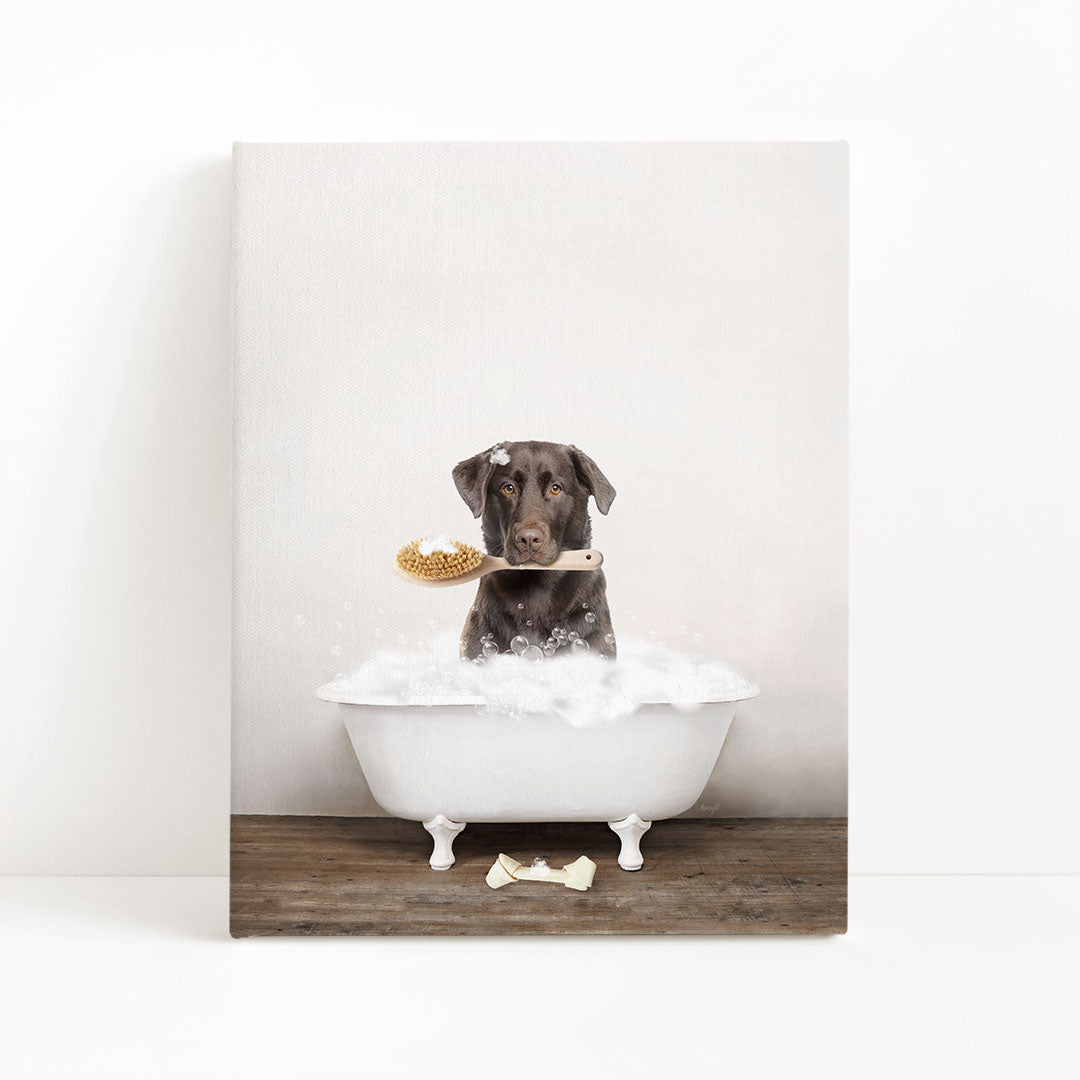 Chocolate Lab in Rustic Bath Style Lots of Foamy Bubbles