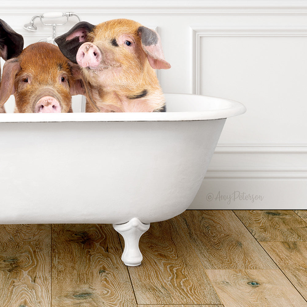 Three Little Pigs in Traditional Panel Bath Style