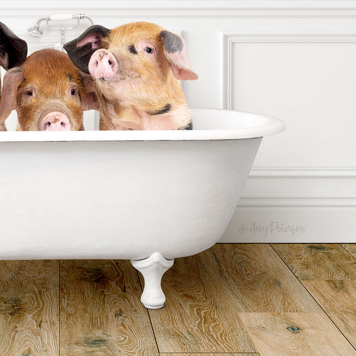 Three Little Pigs in Traditional Panel Bath Style