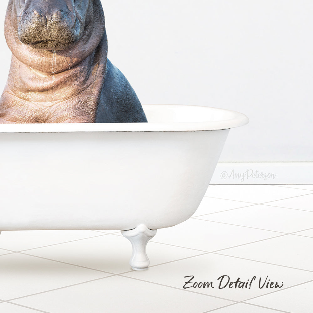 Baby Hippo in Neutral Bath