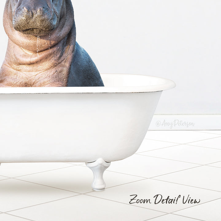 Baby Hippo in Neutral Bath