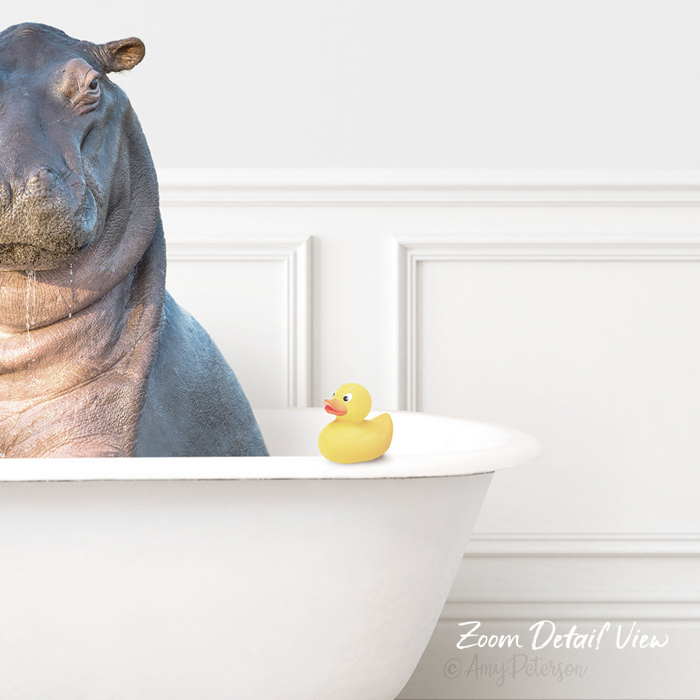 Baby Hippo in Modern Bath