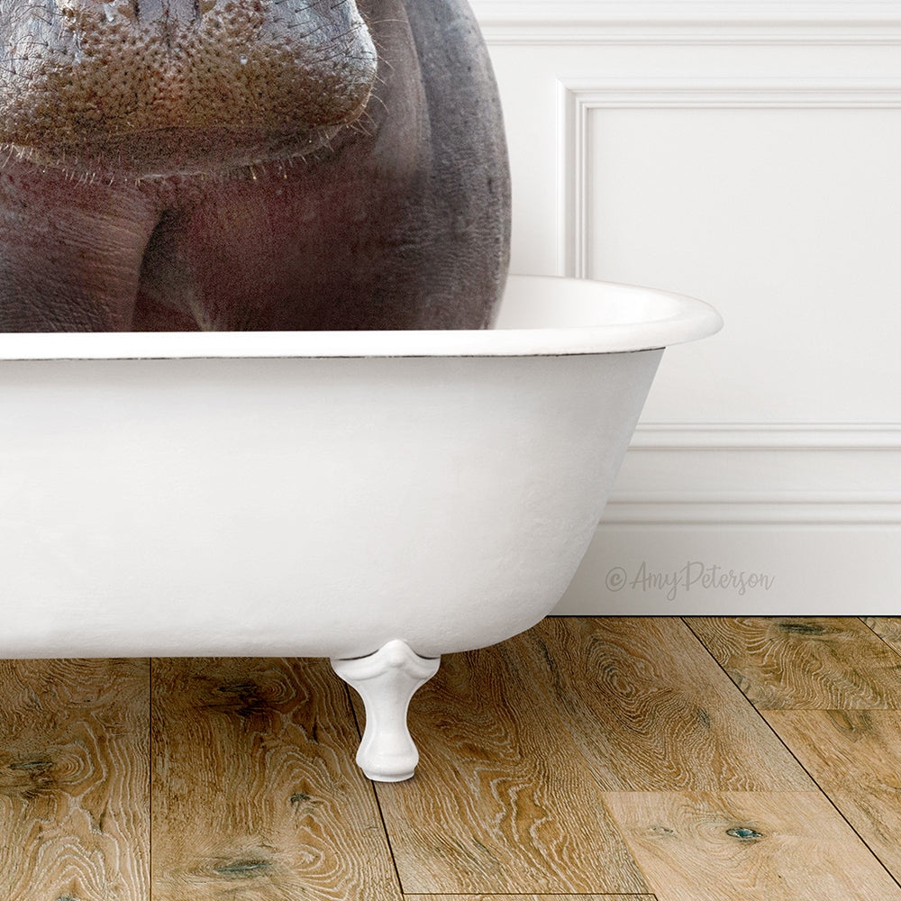 Big Hippo in Traditional Panel Bath Style