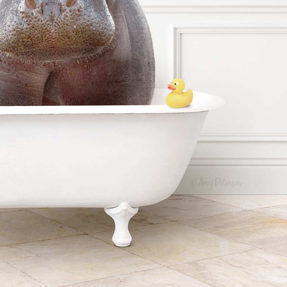 Big Hippo in Modern Bath