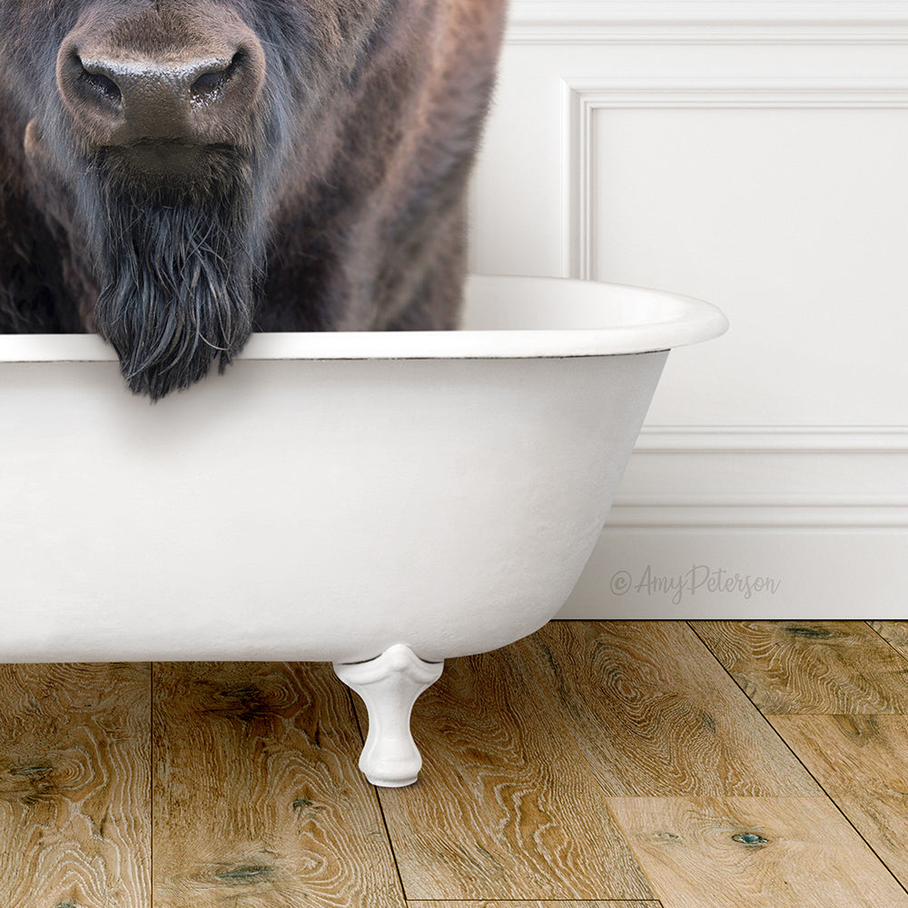 Bison in Traditional Panel Bath Style