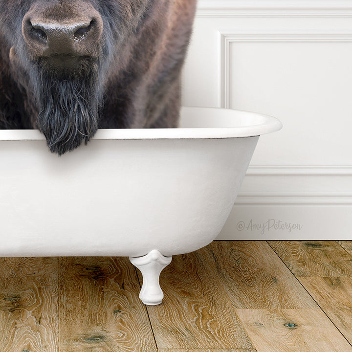 Bison in Traditional Panel Bath Style