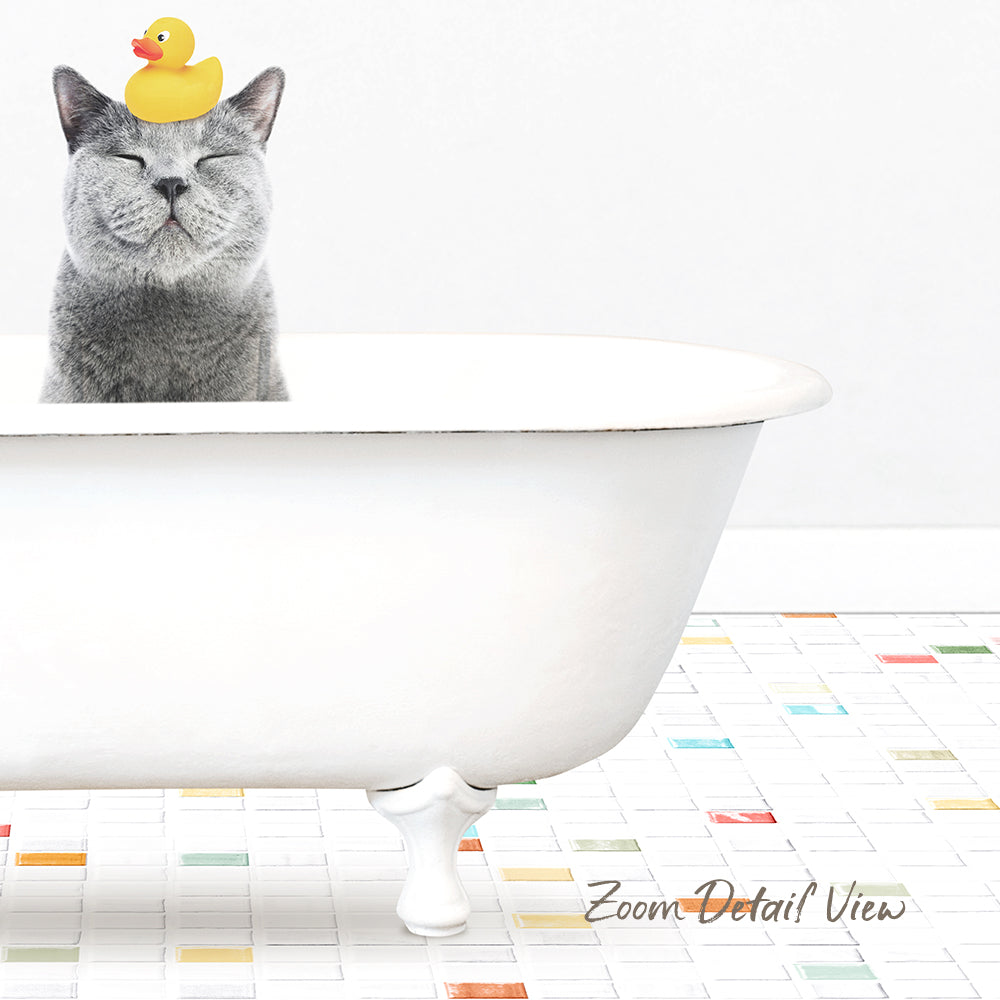 Cat - Chiclet Tile Bath