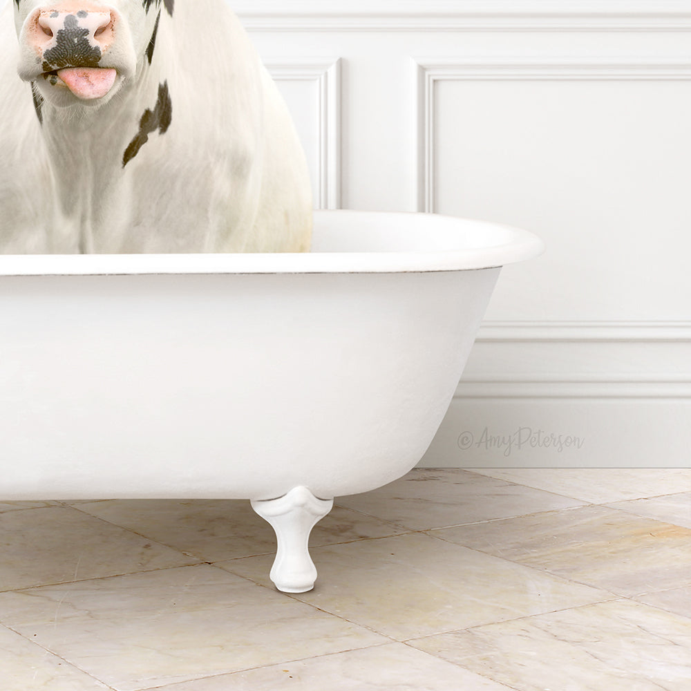 Holstein Cow in Modern Bath