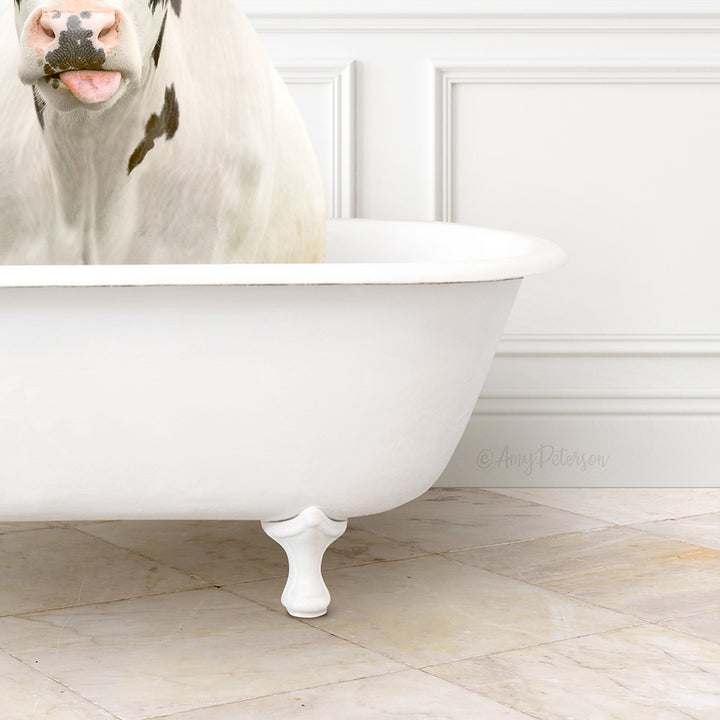 Holstein Cow in Modern Bath