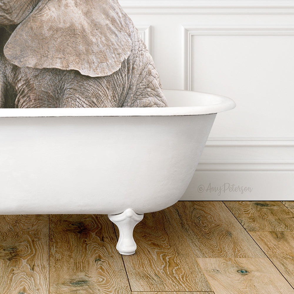 Baby Elephant No1 in Traditional Panel Bath Style