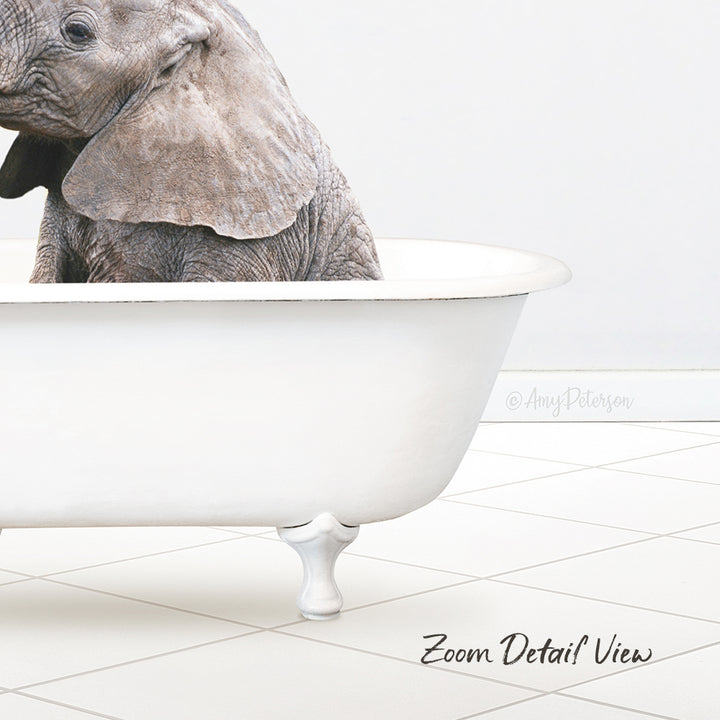 Baby Elephant No1 in Neutral Bath
