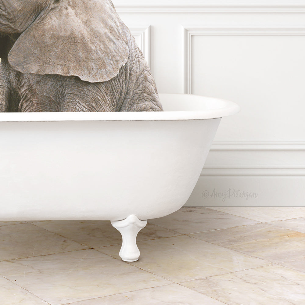 Baby Elephant No1 in Modern Bath