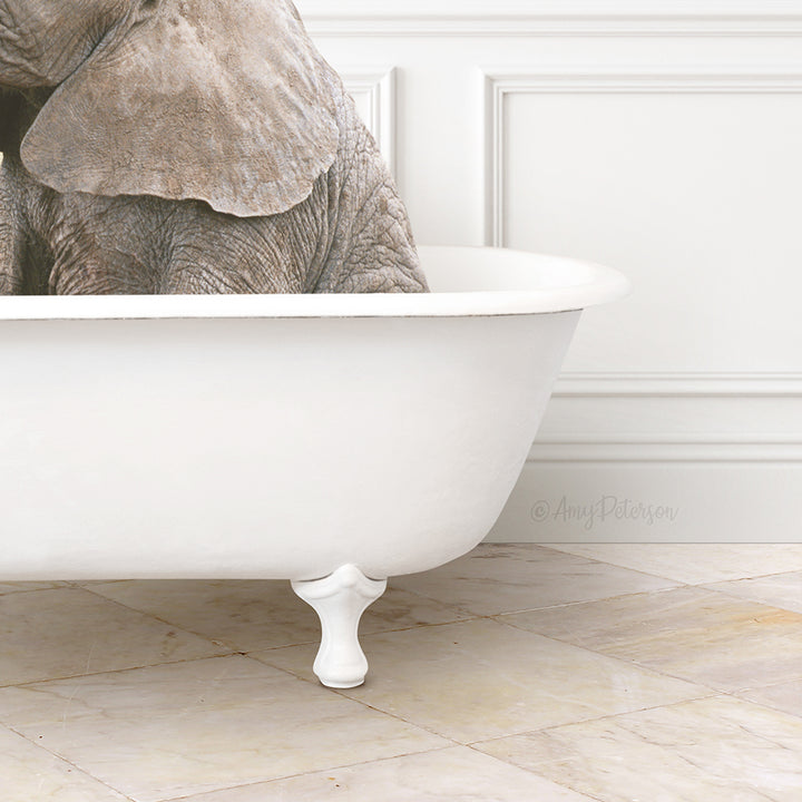 Baby Elephant No1 in Modern Bath