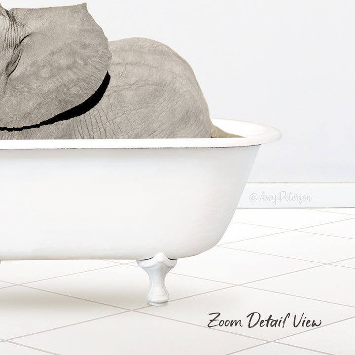 Baby Elephant No2 in Neutral Bath