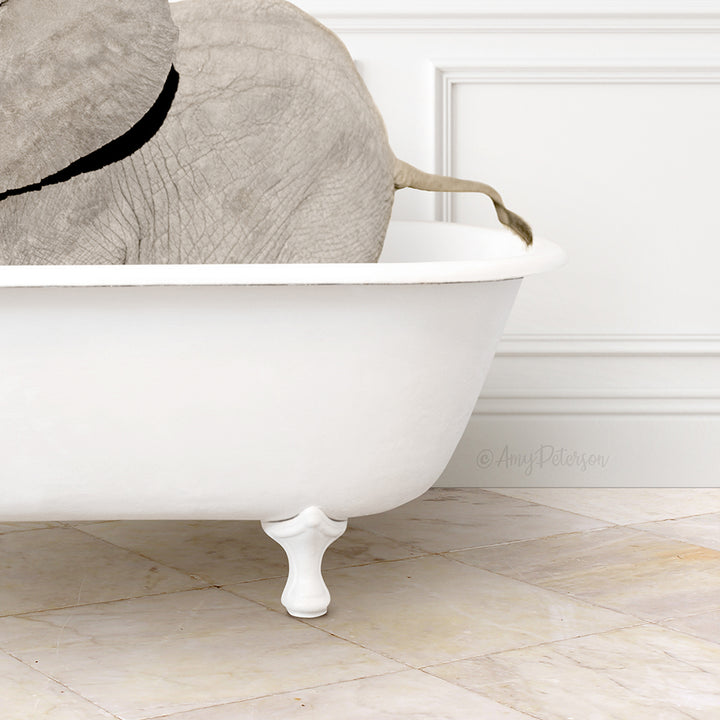 Baby Elephant No2 in Modern Bath