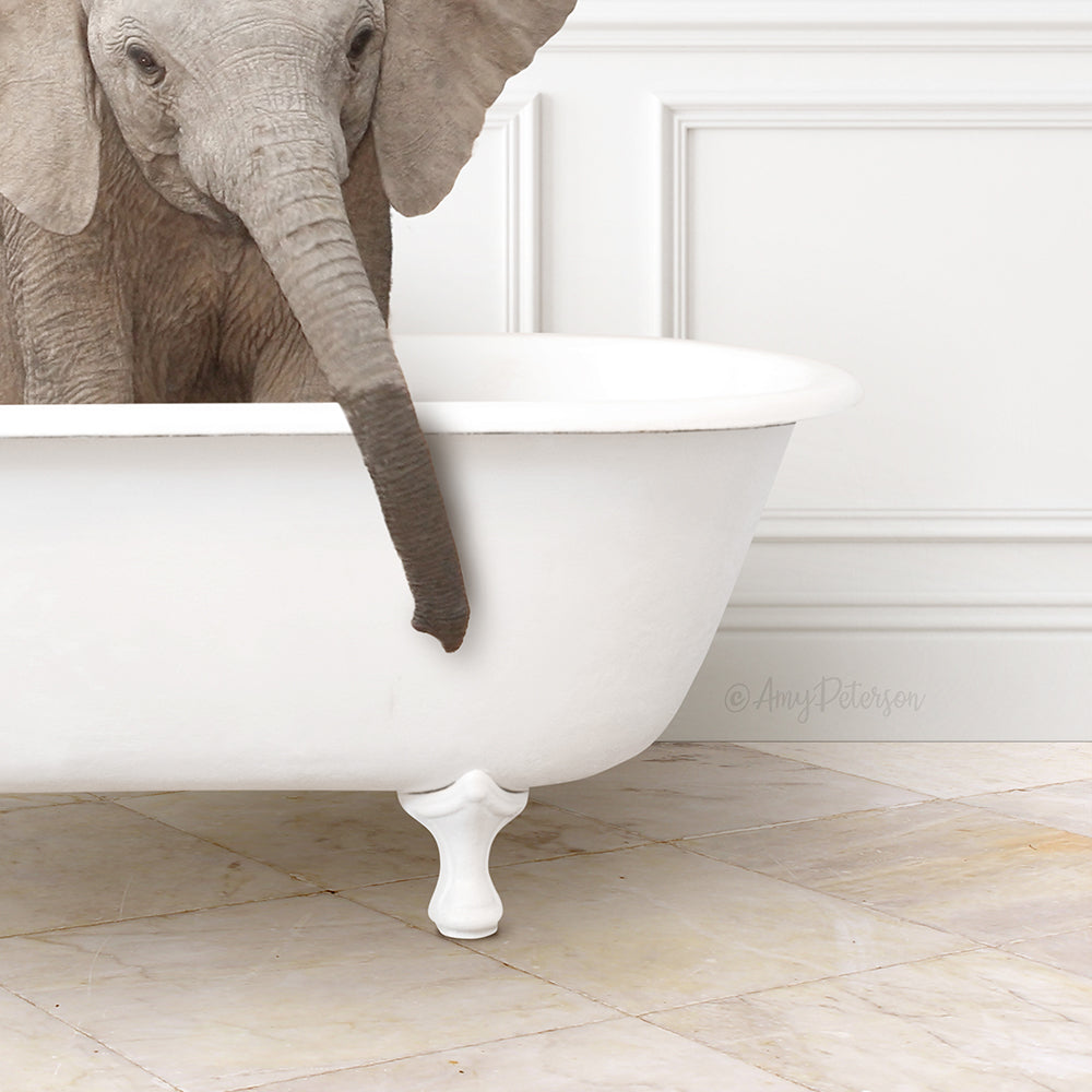 Baby Elephant No3 in Modern Bath