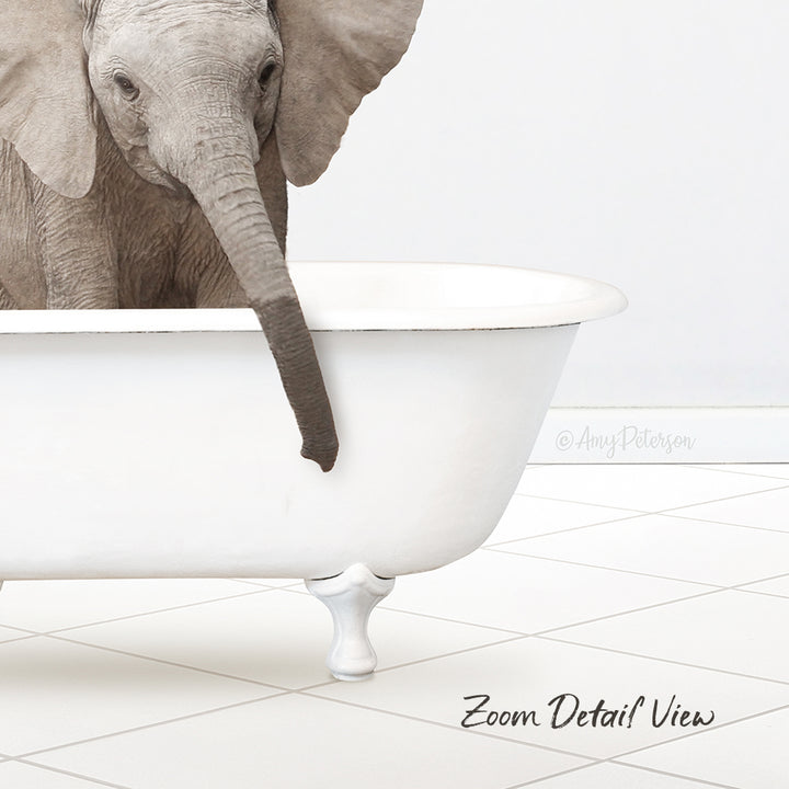 Baby Elephant No3 in Neutral Bath